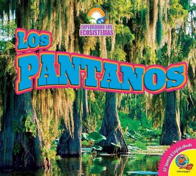 Los Pantanos (Wetlands) by John Willis