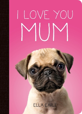 I Love You Mum book