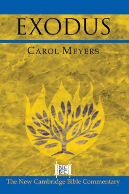 Exodus by Carol Meyers