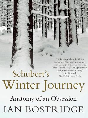 Schubert's Winter Journey book