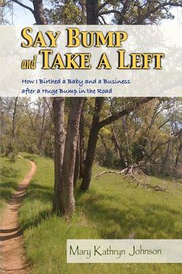 Say Bump and Take a Left: How I Birthed a Baby and a Business After a Huge Bump in the Road book