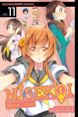 Nisekoi: False Love, Vol. 11 book