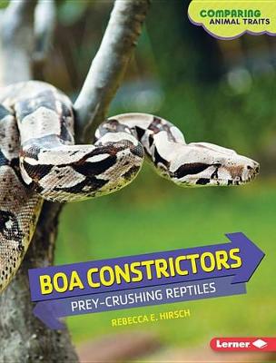 Boa Constrictors by Rebecca E. Hirsch