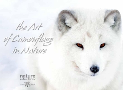 Art of Camouflage in Nature book