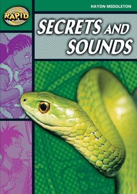 Rapid Stage 5 Set B: Secrets & Sounds (Series 2) book