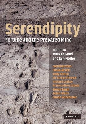 Serendipity book