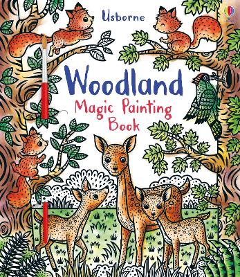 Woodland Magic Painting Book book