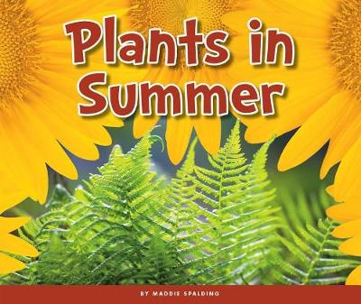Plants in Summer book