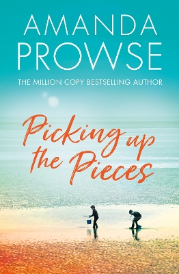 Picking up the Pieces book