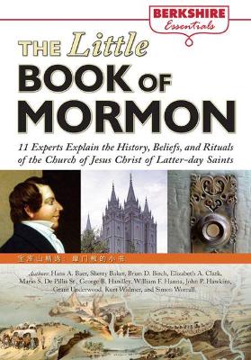 Little Book of Mormon book