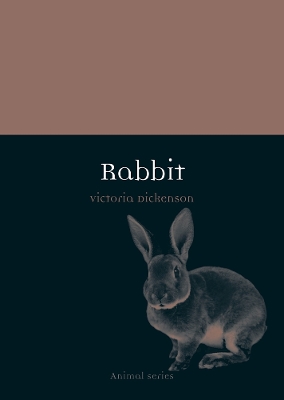 Rabbit book