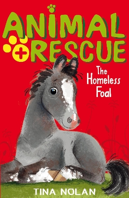 Homeless Foal book