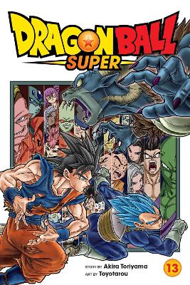 Dragon Ball Super, Vol. 13 book
