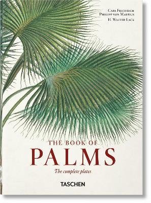 Martius. The Book of Palms. 40th Ed. by H. Walter Lack