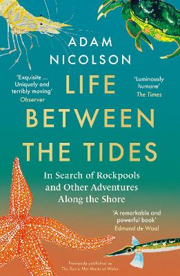 Life Between the Tides: In Search of Rockpools and Other Adventures Along the Shore book