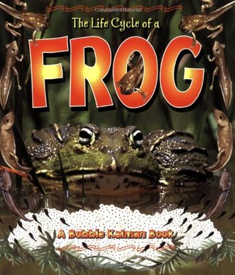 Life Cycle of a Frog book