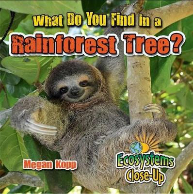 What Do You Find in a Rainforest Tree? book