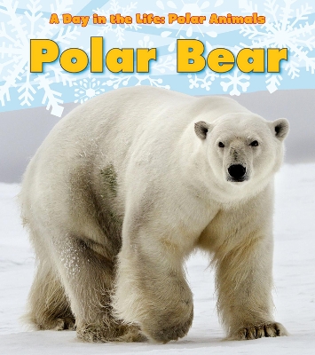 Polar Bear book