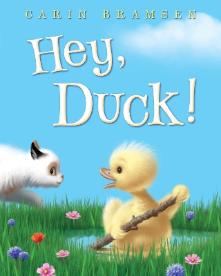 Hey, Duck! book