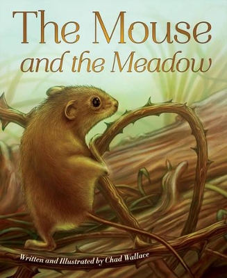 Mouse and the Meadow by Chad Wallace