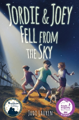 Jordie and Joey Fell from the Sky book