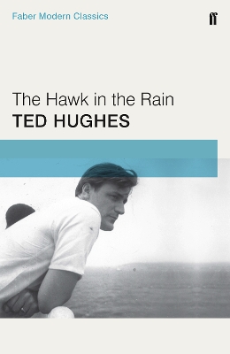 Hawk in the Rain by Ted Hughes