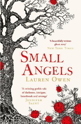 Small Angels: 'A twisting gothic tale of darkness, intrigue, heartbreak and revenge' Jennifer Saint by Lauren Owen