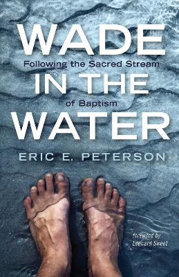 Wade in the Water book