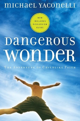 Dangerous Wonder YS book