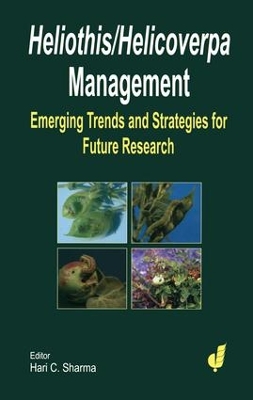 Heliothis/helicoverpa Management book