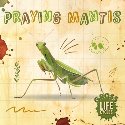 Gross Life Cycles: Praying Mantis by William Anthony