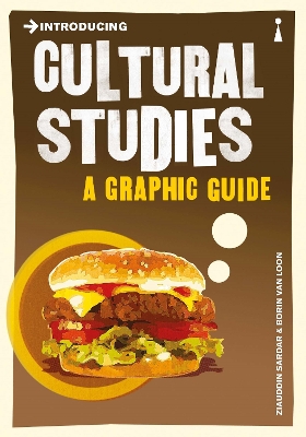 Introducing Cultural Studies book