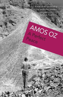 Perfect Peace book