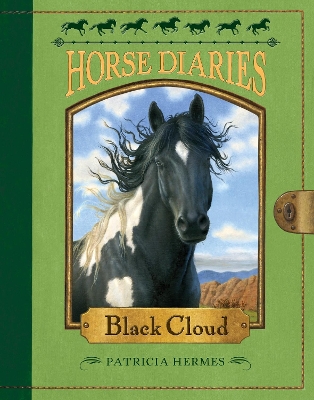 Horse Diaries #8 book