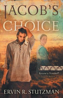 Jacob's Choice by Ervin R Stutzman