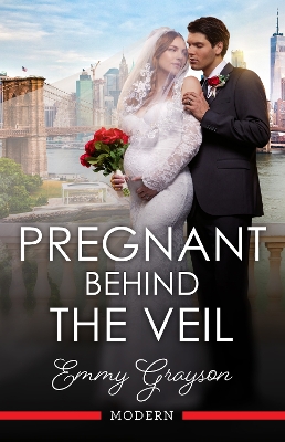 Pregnant Behind The Veil book