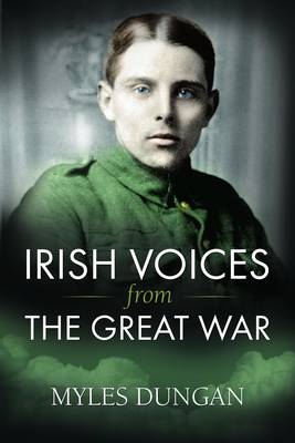 Irish Voices from the Great War book