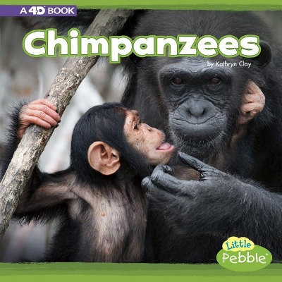Chimpanzees by Kathryn Clay