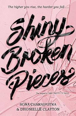 Shiny Broken Pieces book
