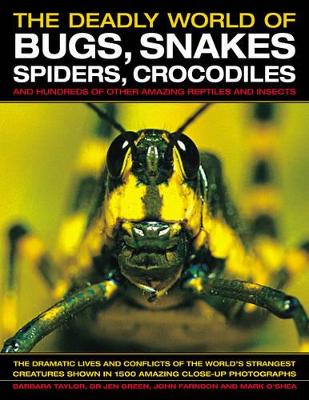 The Deadly World of Bugs, Snakes, Spiders, Crocodiles and Hundreds of Other Amazing Reptiles and Insects: Discover the Amazing World of Reptiles and Bugs, Featuring More Than 1500 Fabulous Wildlife Photographs and Illustrations by Dr Jen Green