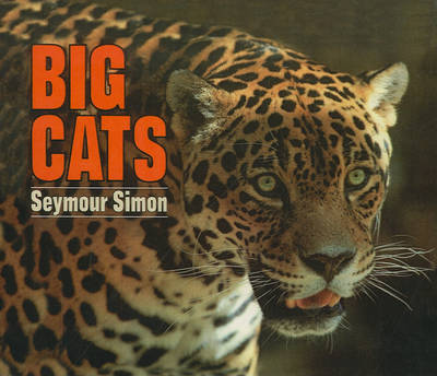 Big Cats book
