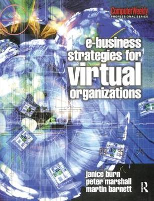 E-Business Strategies for Virtual Organizations by Janice Burn