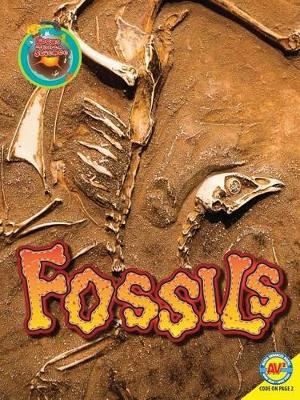 Fossils by Megan Lappi