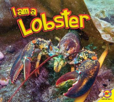 Lobster book