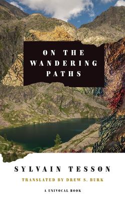 On the Wandering Paths book