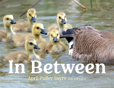 In Between by April Pulley Sayre