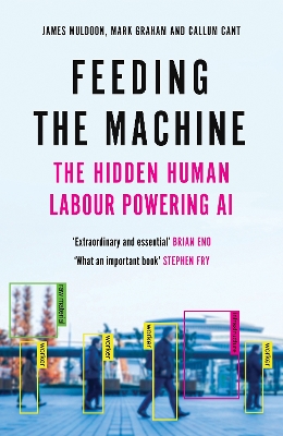 Feeding the Machine: The Hidden Human Labour Powering AI by James Muldoon
