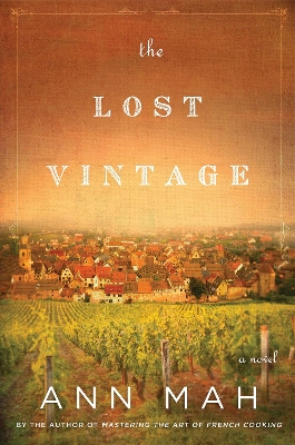 Lost Vintage book