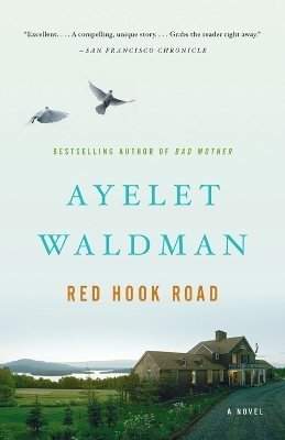 Red Hook Road book