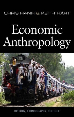 Economic Anthropology book